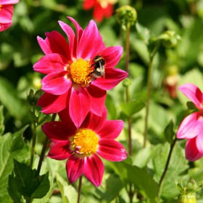 QA SVC Beauty-wellness-services 63359
